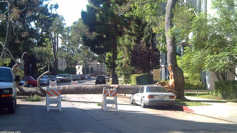 Car Insurance for Gig Workers: Delivery Drivers & More