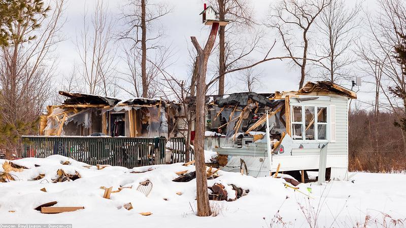 Does Home Insurance Cover Termite Damage?