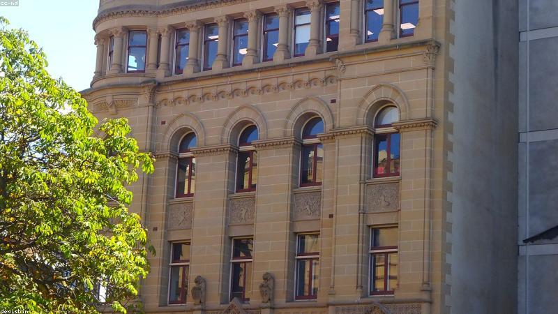 Identity Theft Insurance: What It Covers and If You Need It