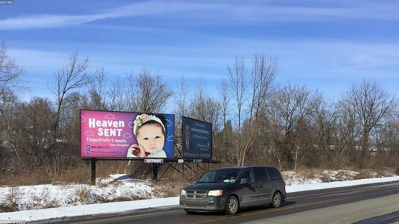 Indexed Universal Life (IUL) Explained: Is It Right for You?