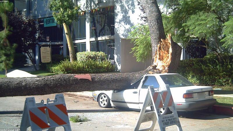 Medicare Supplement Plans (Medigap): What You Need to Know