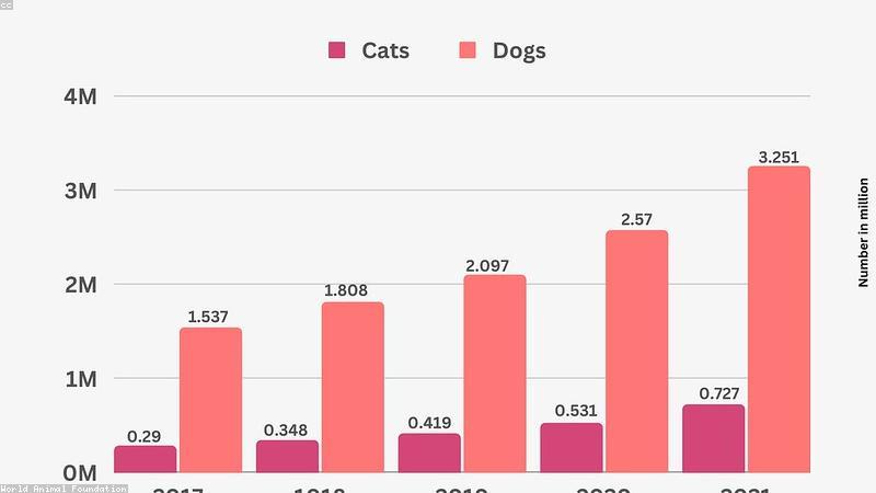 Pet Insurance Cost: Is It Worth It for Your Dog or Cat?