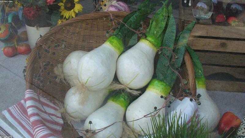 Surety Bonds vs. Insurance: Understanding the Distinction